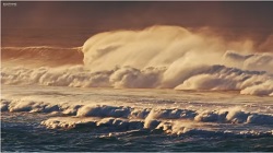 Ocean