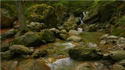 Stream
